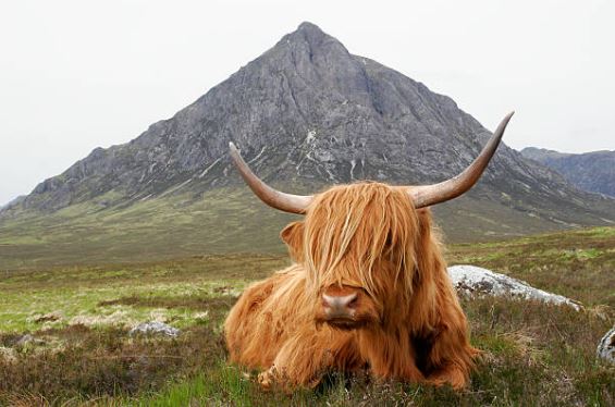 Trip to Scotland