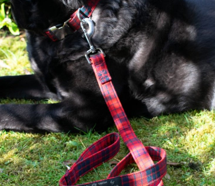 Tartan Dog Lead