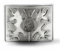 Gunmetal Thistle on Gunmental