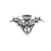 Single Thistle Brooch -  - 1