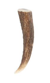 Kilt Pin Stag Horn Tip